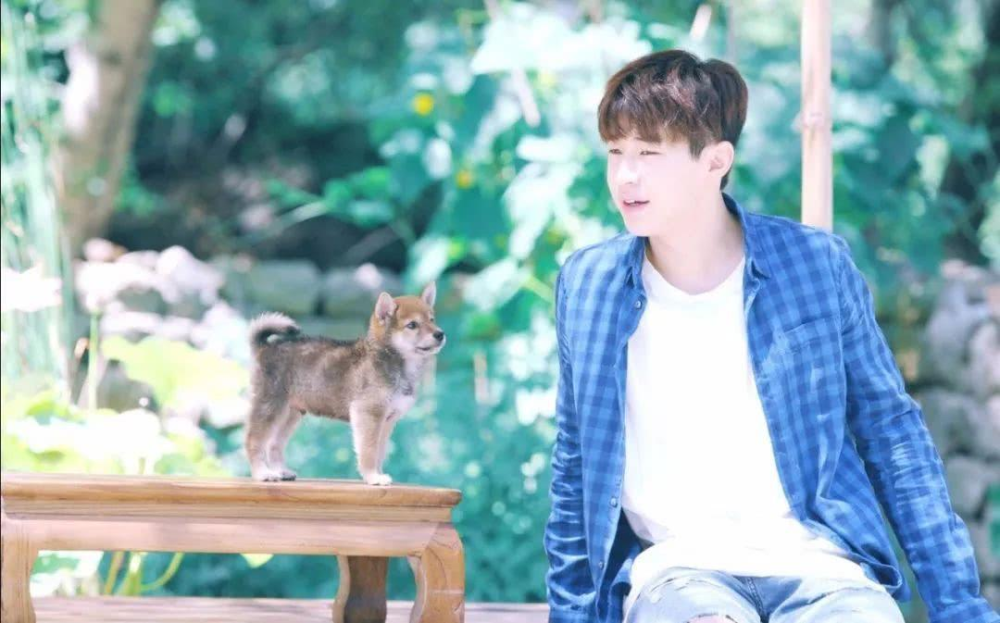 夏雪黃磊攜手演繹別樣精彩人生，新作品震撼來襲！???