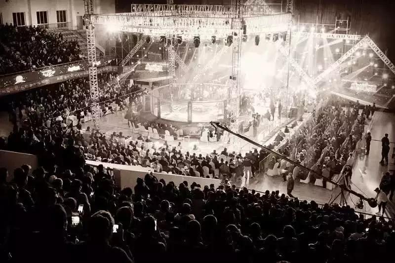 武林籠中對(duì)最新一期，自然美景中的對(duì)決與內(nèi)心平靜之旅