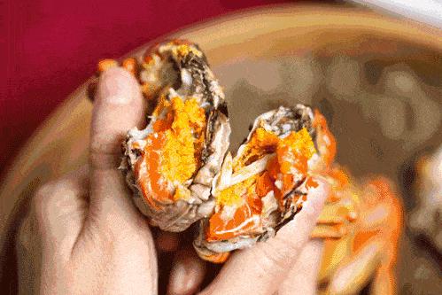 ??陽澄湖螃蟹上市季節(jié)情報(bào)，吃貨必知的秋季美味盛宴！??