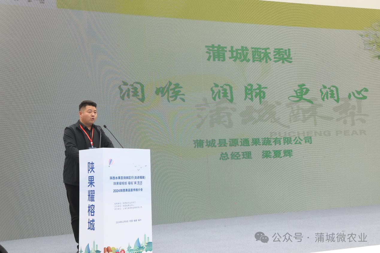 梨城資訊速遞，探索梨城新動態(tài)與發(fā)展趨勢