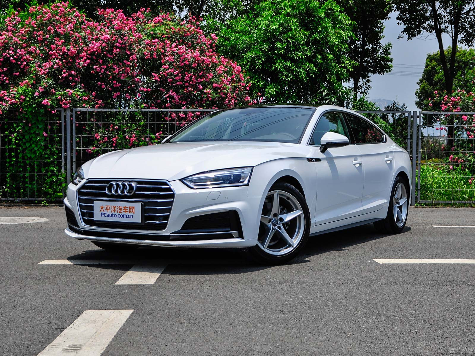 新款?yuàn)W迪A5價(jià)格及圖片，自然美景探索之旅的絕佳選擇