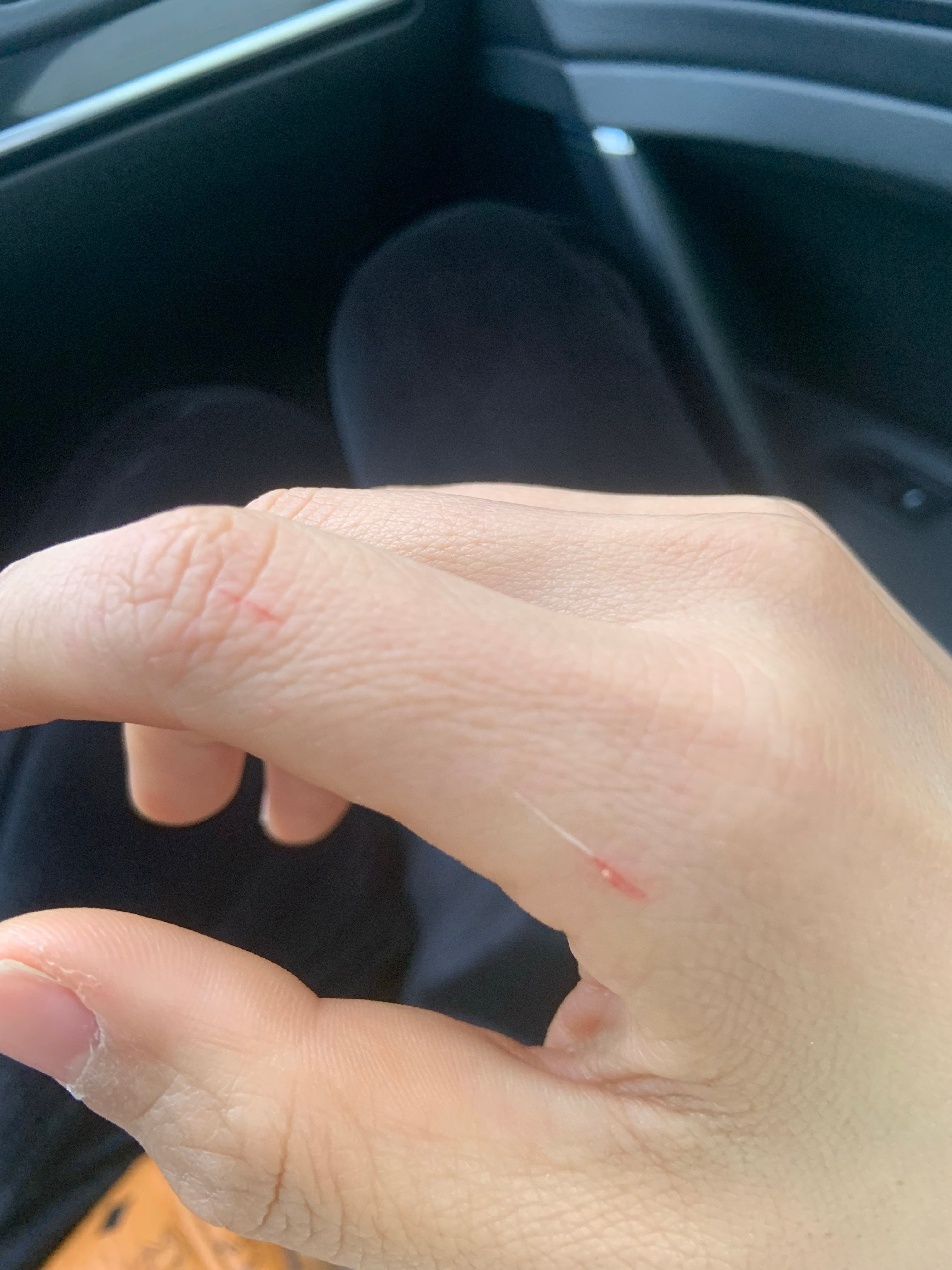 最新口子，開啟學習之旅，擁抱變化的力量