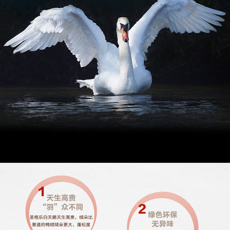 探索小巷羽絨寶藏，90白鵝絨價格與溫暖故事