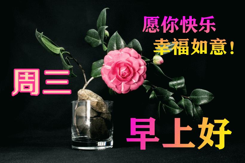 最新早晨問(wèn)候動(dòng)態(tài)表情包，溫馨問(wèn)候，從表情開(kāi)始！