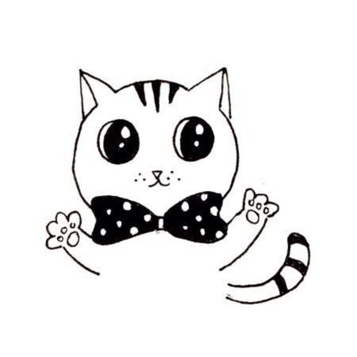 喵咪動漫，初學(xué)者與進(jìn)階用戶的技能學(xué)習(xí)指南