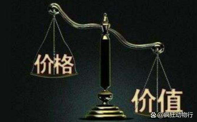 價格與價值解析，差異何在？