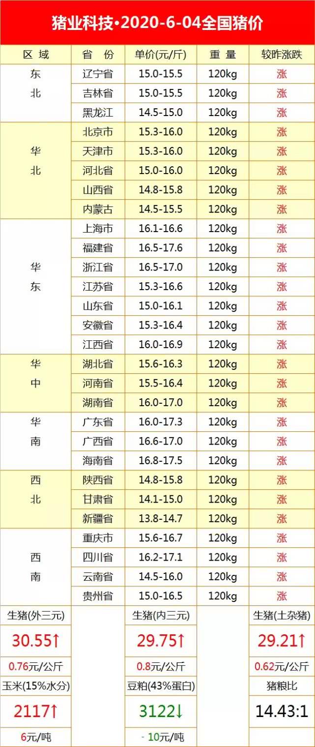 全國(guó)最新生豬價(jià)格今日豬價(jià)走勢(shì)，詳細(xì)步驟指南