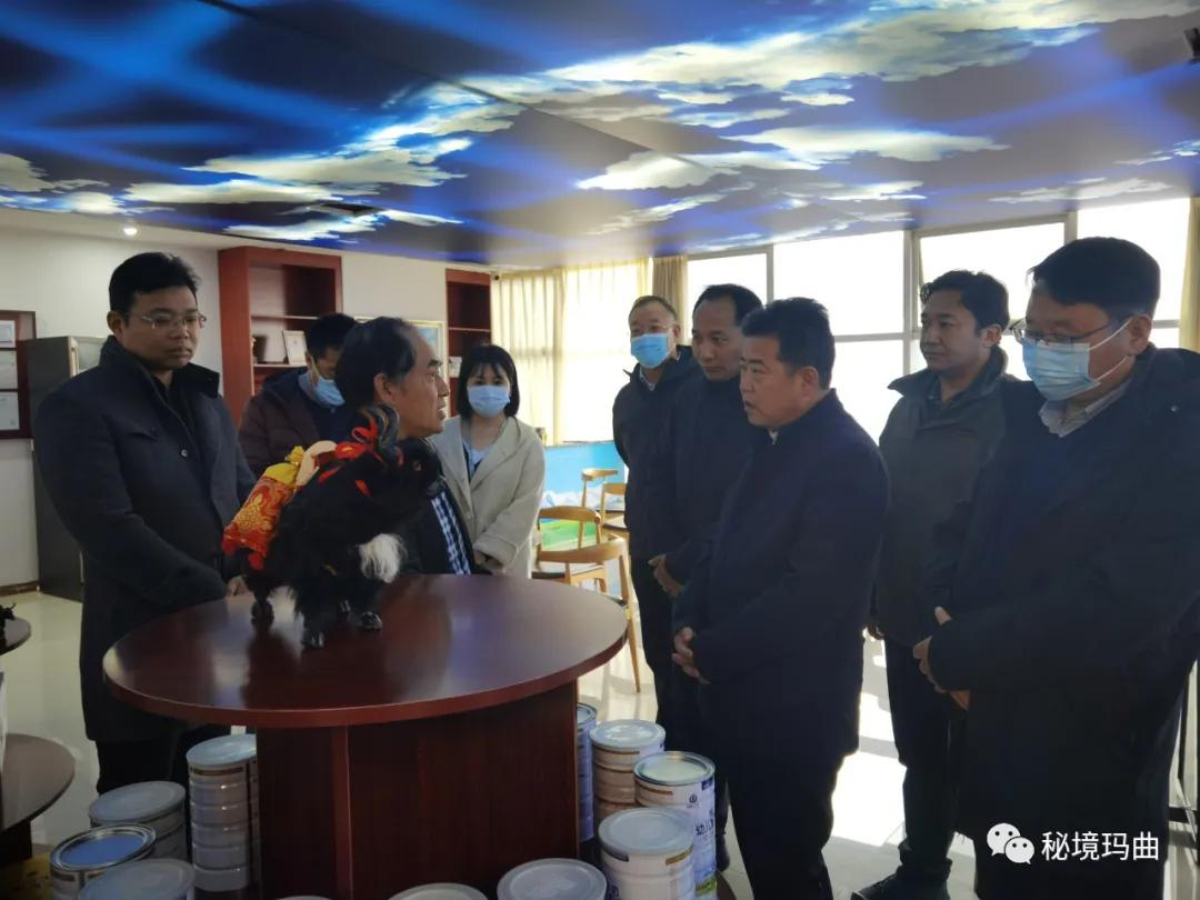 高原之寶上市，學(xué)習(xí)、蛻變與自信的輝煌之旅