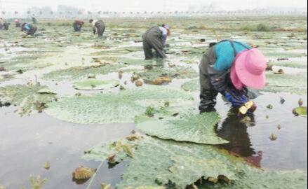 王碼五最新版，鍵盤(pán)上的友情與家的溫馨體驗(yàn)