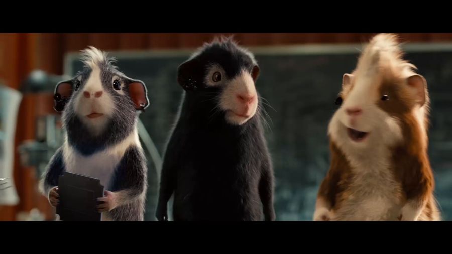 豚鼠電影,豚鼠電影，科技巨獻(xiàn)，重塑觀影體驗(yàn)