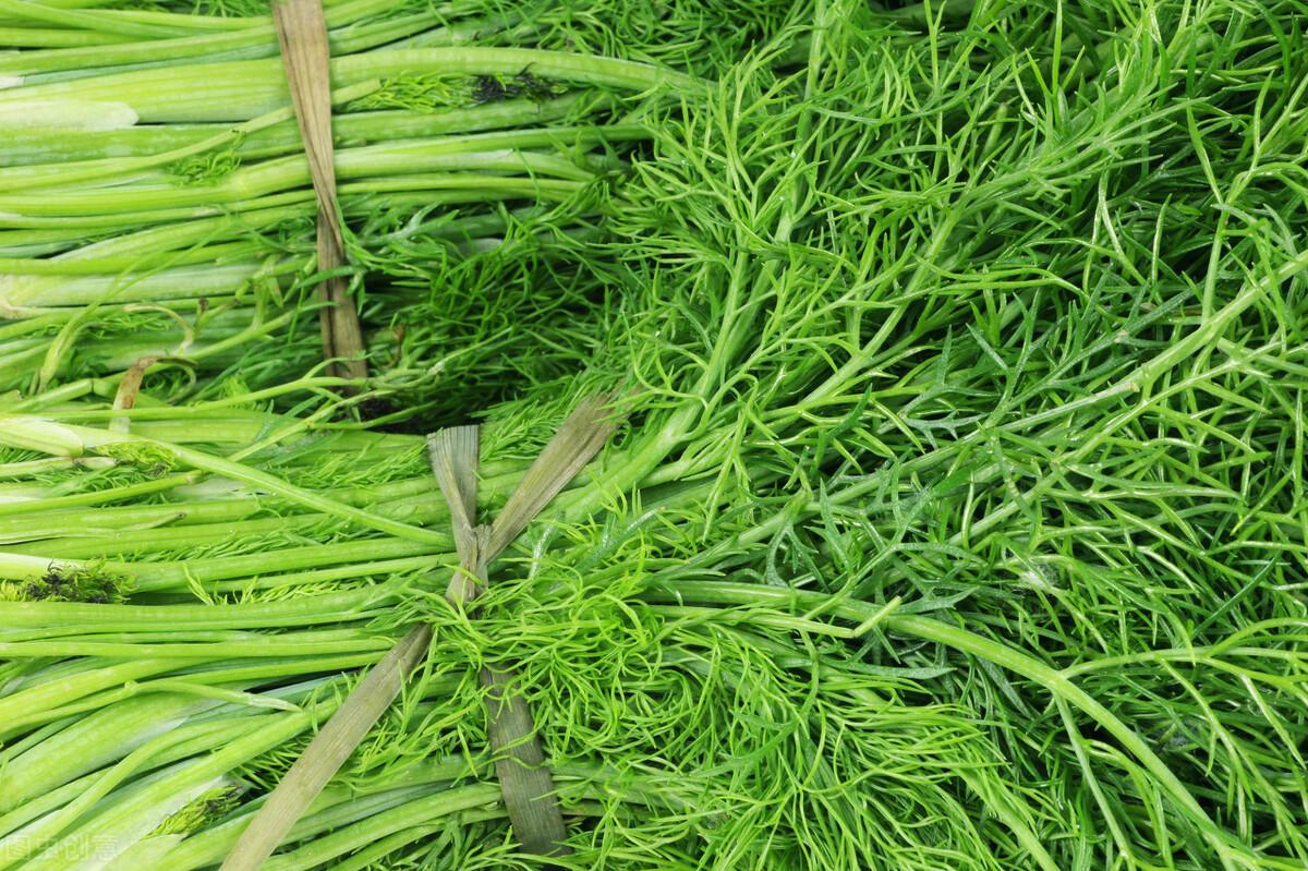 茴香價(jià)格動(dòng)態(tài)，香氣變化與你的關(guān)聯(lián)