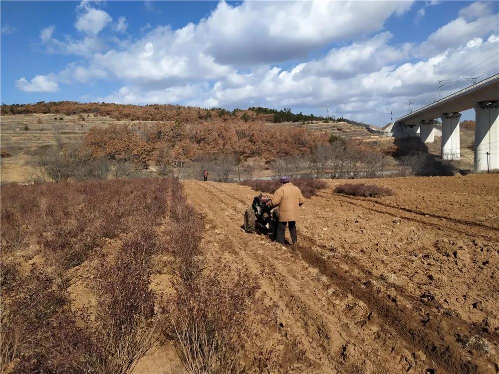 揭秘衡陽(yáng)張家山規(guī)劃更新，小巷風(fēng)情與隱藏小店的獨(dú)特魅力
