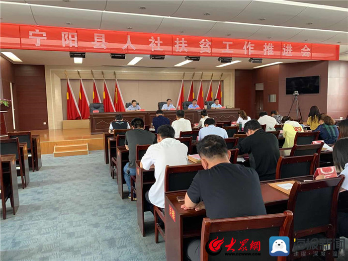 寧陽(yáng)網(wǎng)最新資訊，城市中的溫情日常