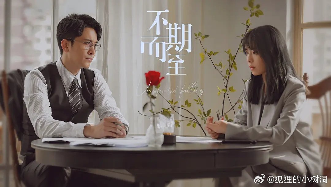 不期而至電視劇，從入門到進階的觀看指南