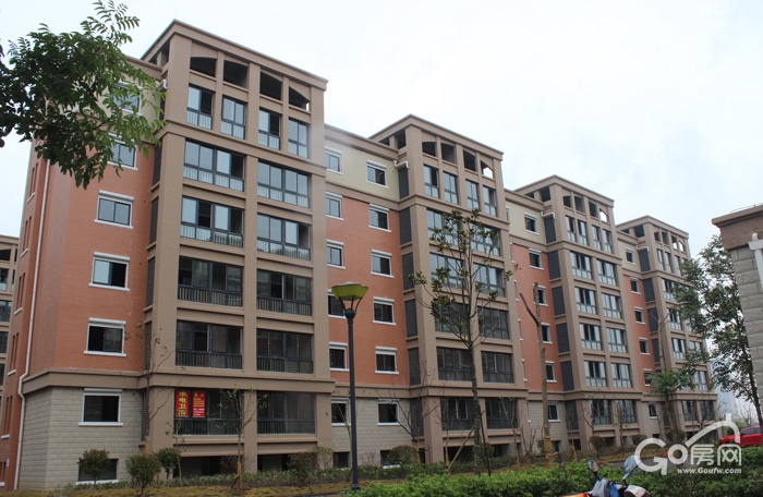 鹽城龍橋新園最新動態(tài)揭秘，科技前沿引領新生活體驗