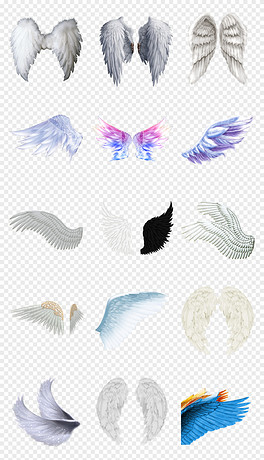 動(dòng)漫翅膀繪制指南，從白紙起步，繪出飛翔的勵(lì)志翅膀！