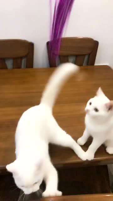 運(yùn)動(dòng)場(chǎng)館燈具 第193頁