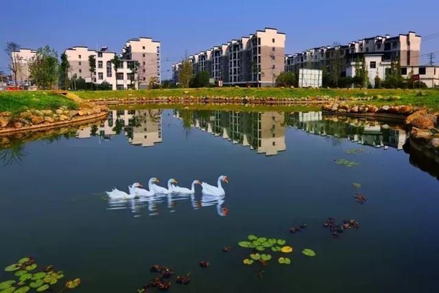 萍鄉(xiāng)安源湖，最新動態(tài)揭示湖畔變革與自我超越之旅