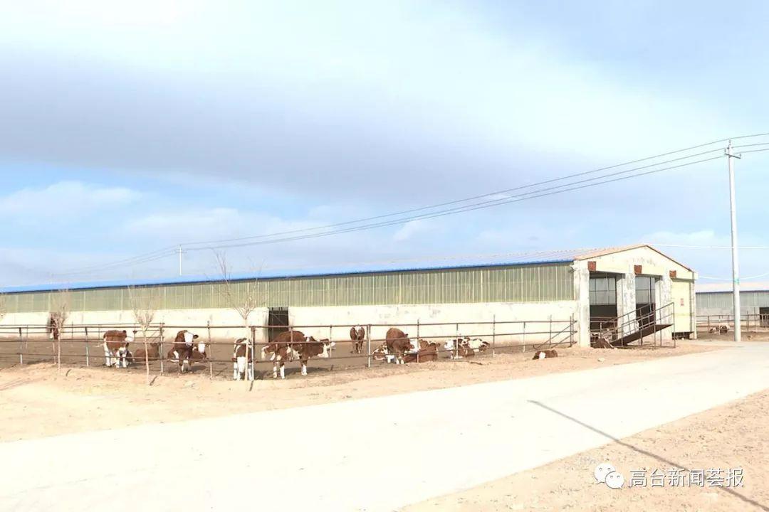 最新養(yǎng)殖場建設政策解讀，探索之旅啟程