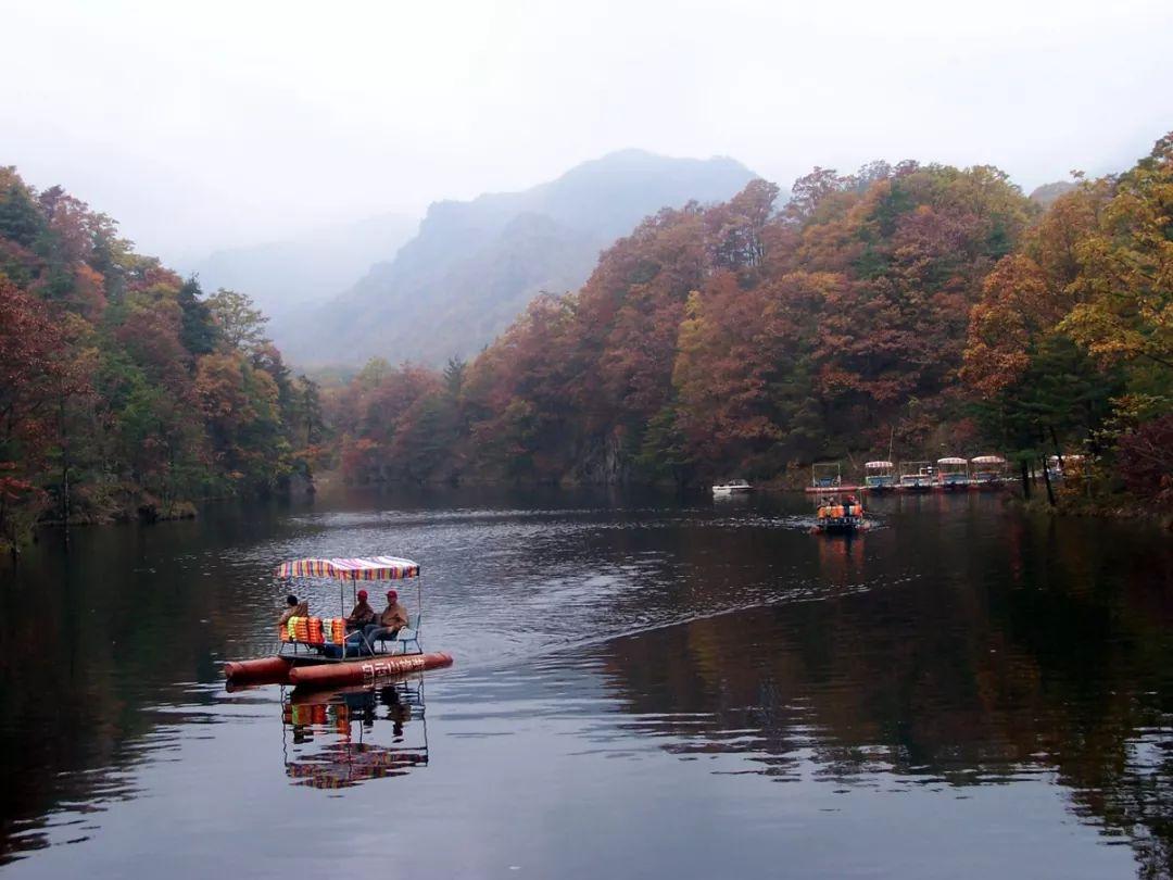 心動瞬間，愛情與生活的美妙交匯