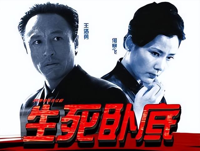 中國(guó)毒梟電視劇大全，友情與陪伴的溫馨日常之旅