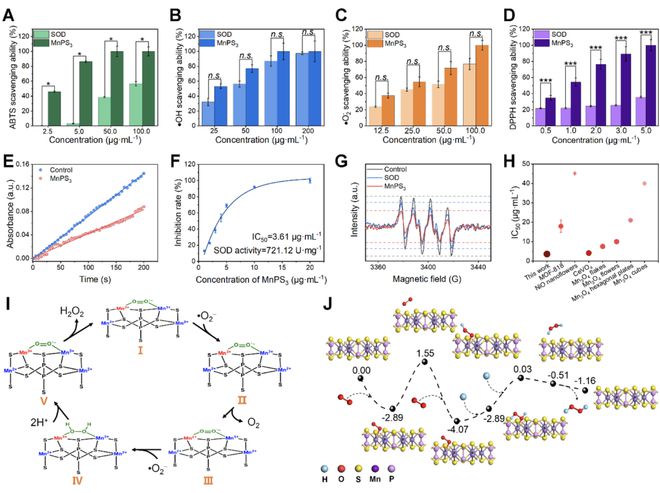 頭發(fā)再生研究新動態(tài),頭發(fā)再生研究新動態(tài)，小巷深處的秘密秀發(fā)實驗室