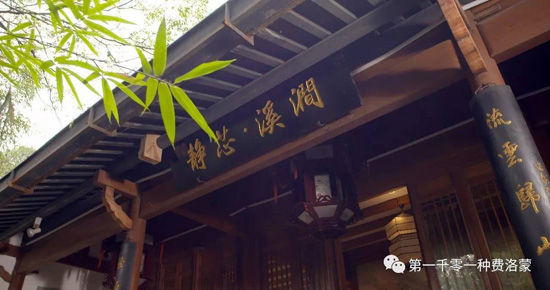 高密西湖茶樓最新資訊，一壺茶，品味溫情時光