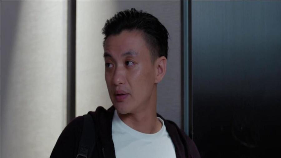 郭鑫年最新動態(tài)揭秘，小巷特色小店探索之旅