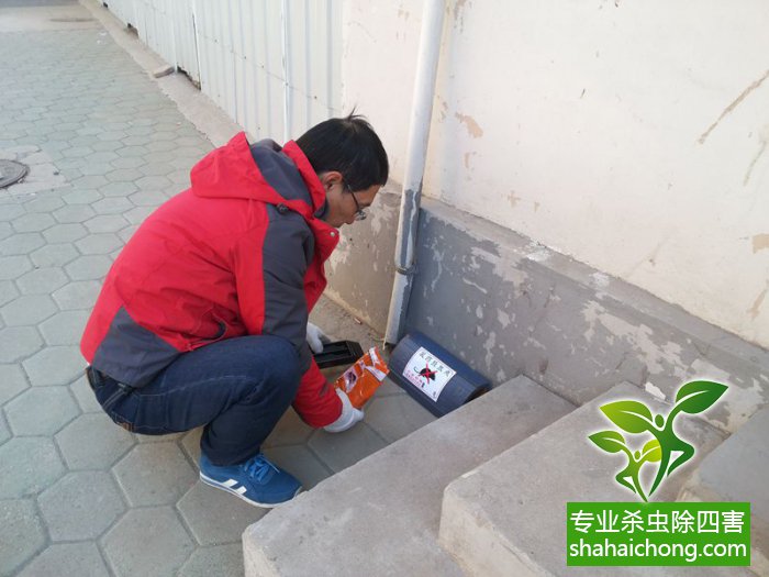 最新滅鼠技術(shù)的觀點(diǎn)論述與立場闡述，創(chuàng)新方法的探索與挑戰(zhàn)