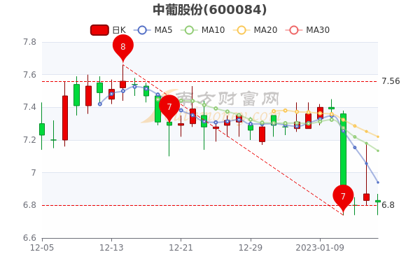 中葡股份股票行情深度分析與展望，未來走勢展望及行業(yè)前景預測。