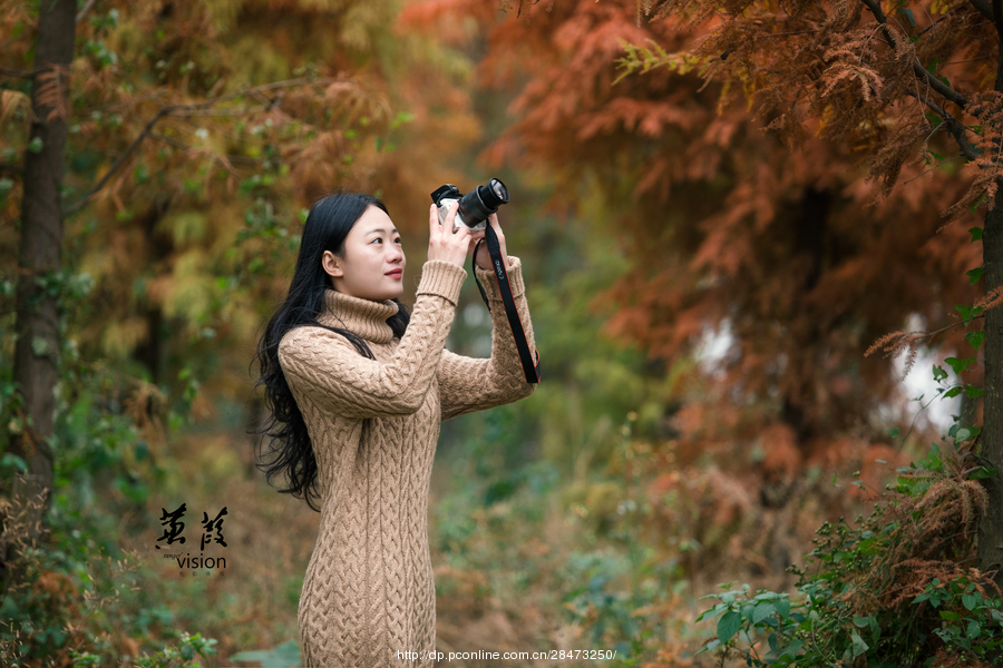 伊人在線電影，探索現(xiàn)代網(wǎng)絡影視的新境界