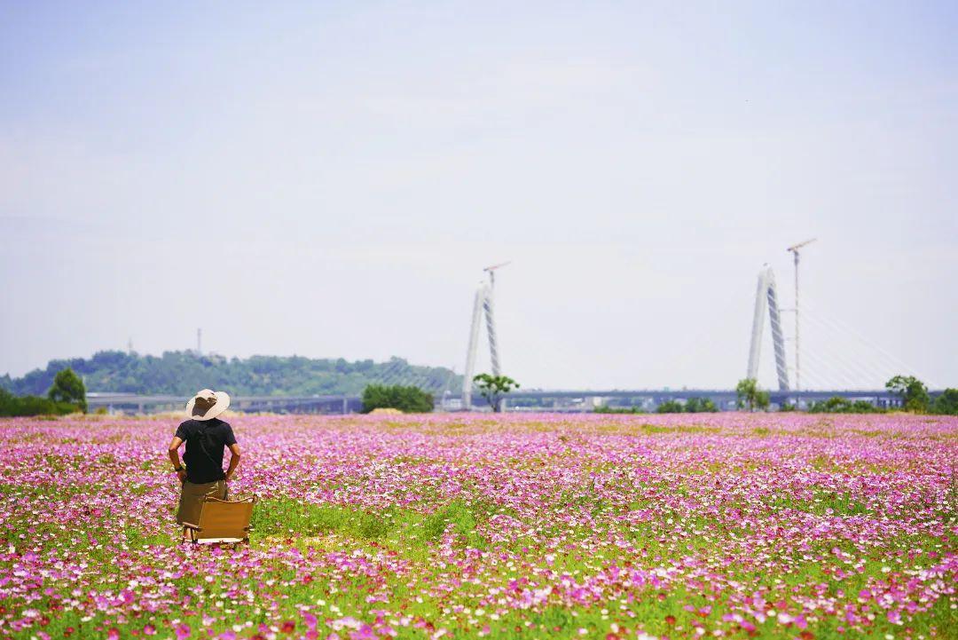 陳小北聚焦科技前沿，引領創(chuàng)新潮流新動態(tài)