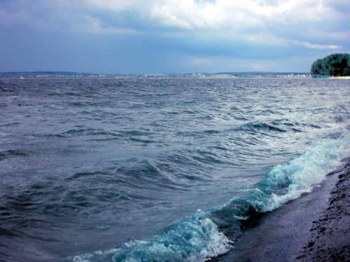 佳木斯新版，時(shí)代印記與變遷的見證者