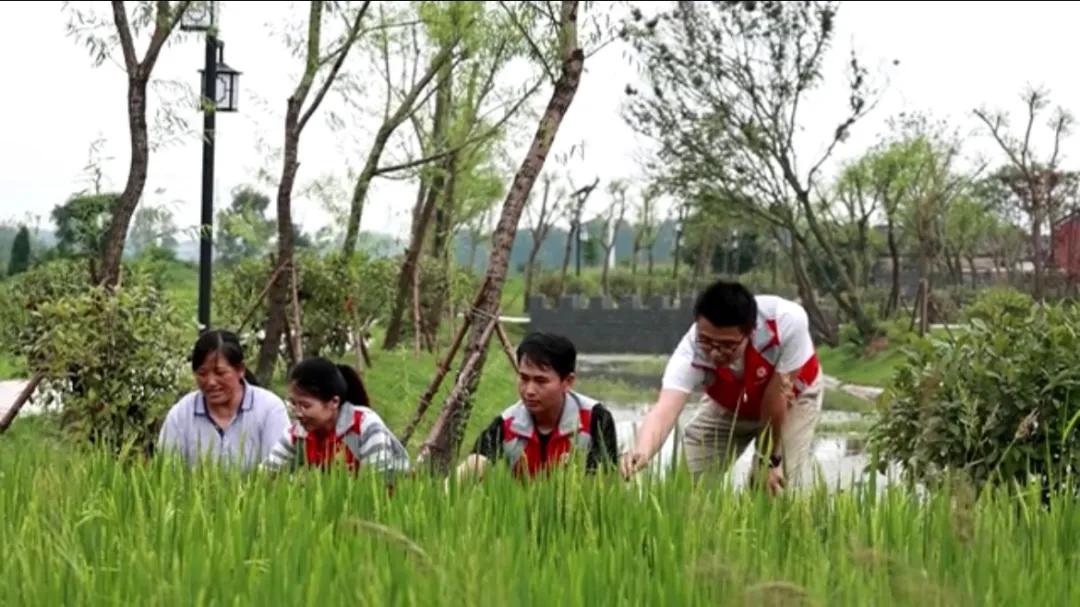 曲陽(yáng)縣城最新招聘信息揭秘，小巷中的獨(dú)特小店等你來探索！