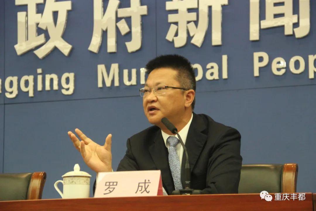 豐都新聞快訊，日常溫情與陪伴的瞬間