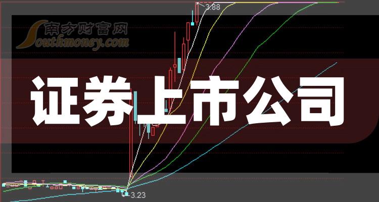 科技巨頭引領(lǐng)下的全新視界，股票上市公司概覽
