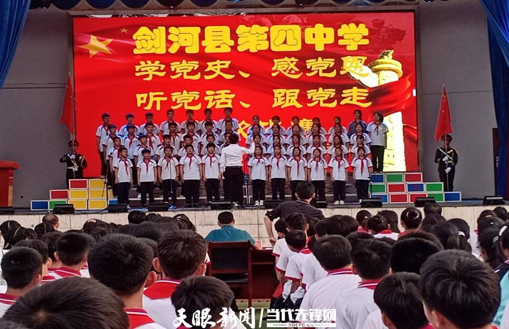 青蛙與狗的泳池挑戰(zhàn)，揭秘游泳比賽背后的故事，青蛙夢工廠的秘密探索