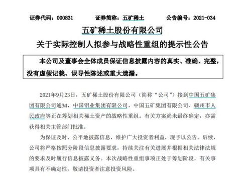 南方稀土股票，小巷中的隱秘寶藏，探索投資魅力的未知之旅