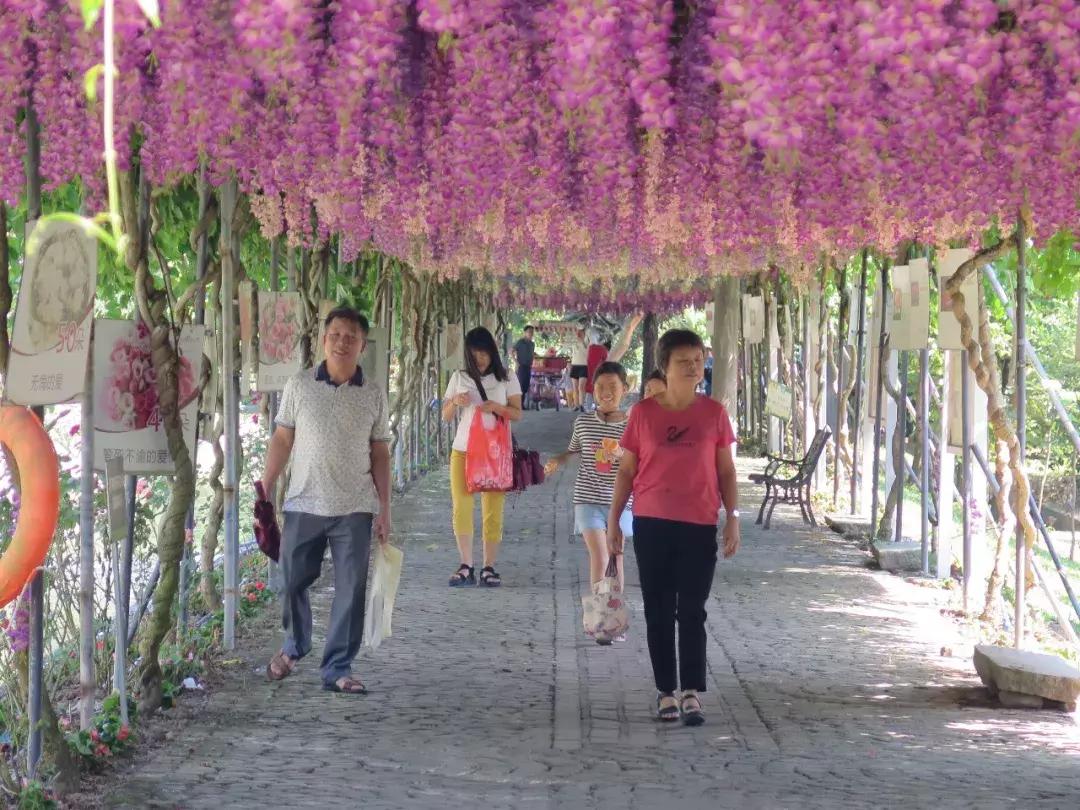 收入寶全新版本，家庭與友情的交織故事