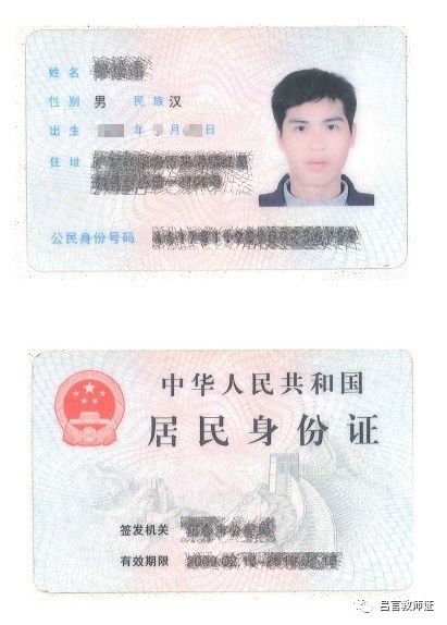 最新證照，友情與陪伴的溫馨故事之旅