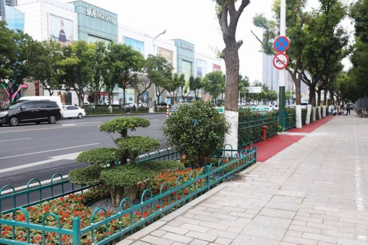 濰坊市奎文區(qū)改造工程，自然美景的探索之旅