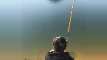 楊柏文最新垂釣視頻，從初學(xué)者到進(jìn)階用戶的技能提升指南