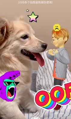 崽崽最新版下載，一段充滿愛與陪伴的溫馨旅程