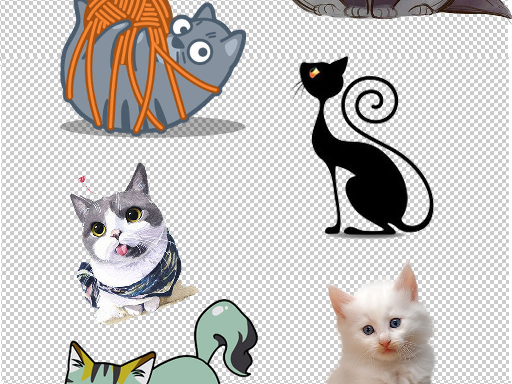 動(dòng)漫小貓圖片，制作指南與精選圖片欣賞