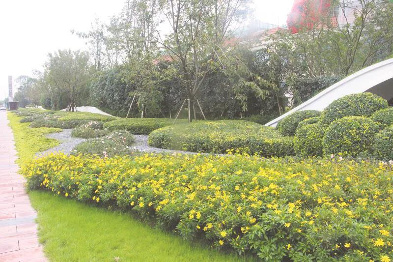 嬢王演員的自然之旅，邂逅美景，尋找內(nèi)心平和之道