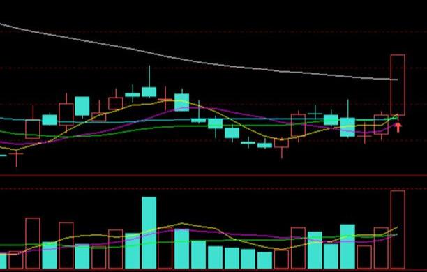 融捷最新公告詳解，任務(wù)完成指南與技能學(xué)習(xí)步驟全面解析