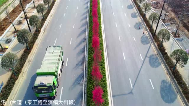 關(guān)花大道最新進(jìn)展，矚目盛景呈現(xiàn)！