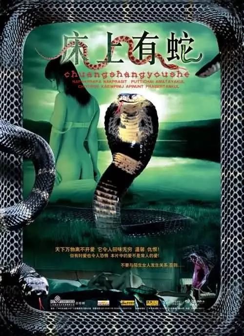 最新蛇片，蛻變的旅程，召喚自信與成就感的冒險之旅