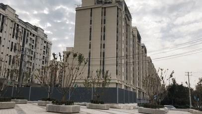 趙村最新動(dòng)態(tài)，鄉(xiāng)村振興新篇章開啟