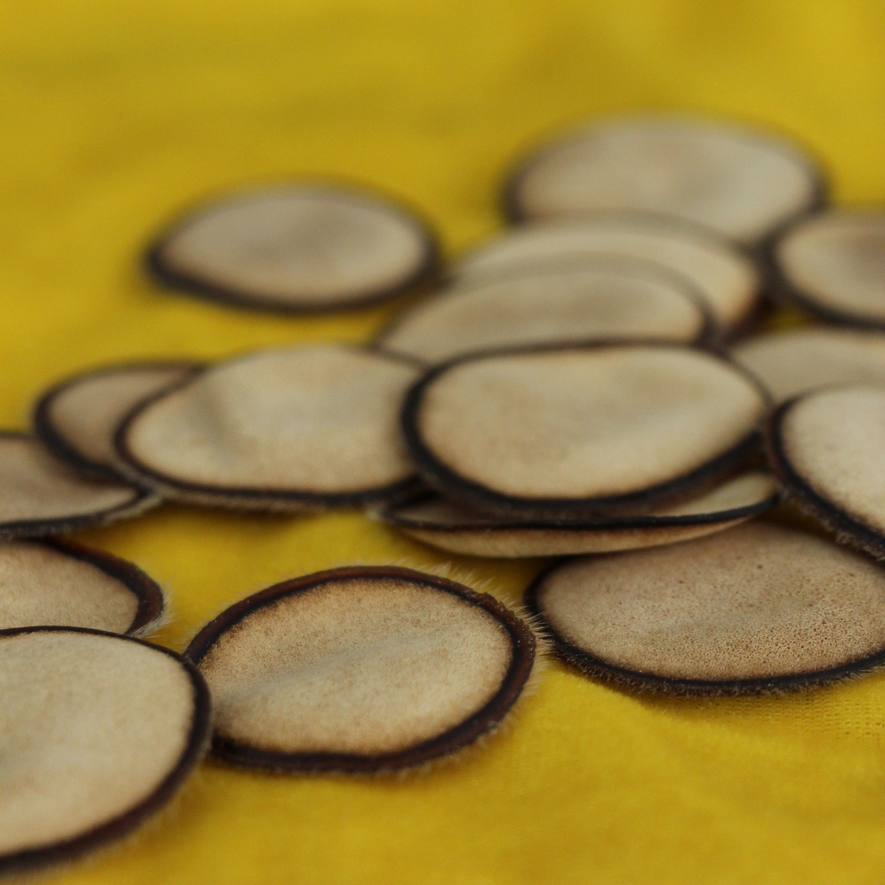 鹿茸片價格背后的溫情故事揭秘